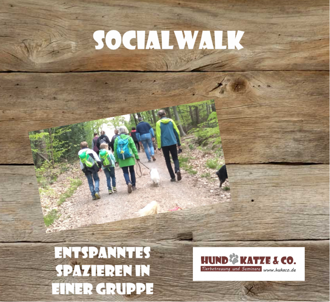 SocialWalk