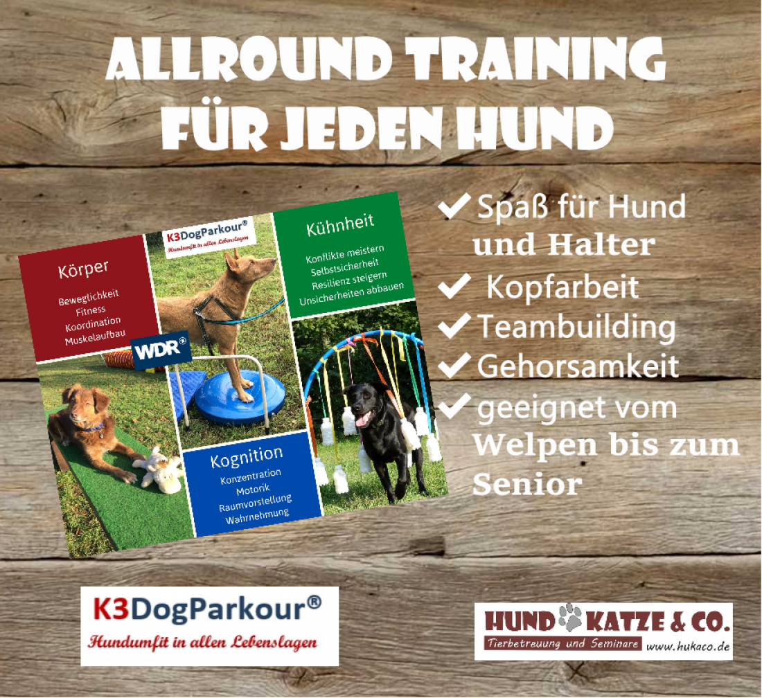 K3 Dogparkour - Das allround Training für jeden Hund