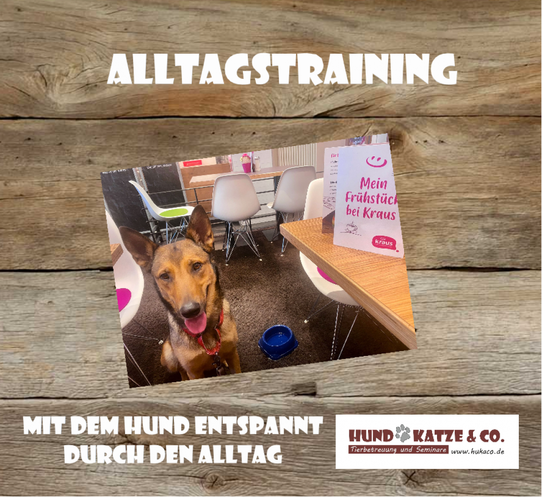 Alltagstraining