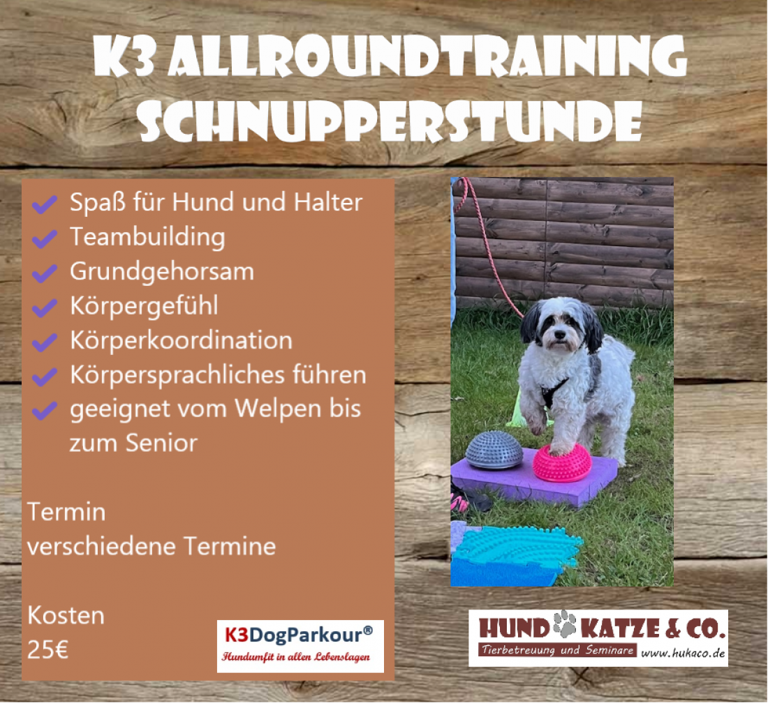 K3 Dogparkour - Schnupperstunde