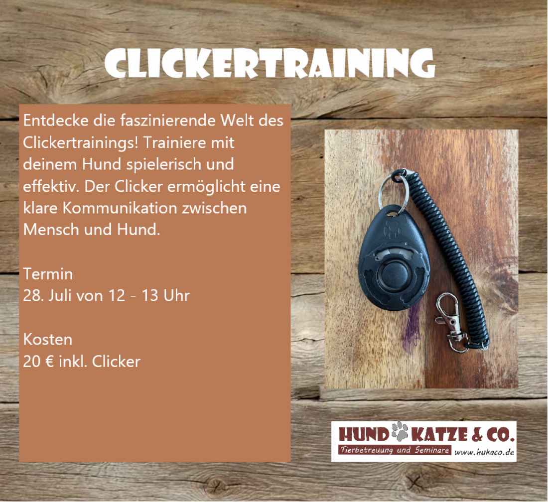 Clickertraining - Bring es auf den Punkt