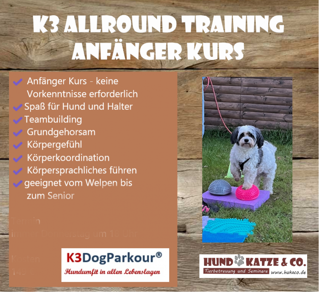 K3 Dogparkour - Anfänger Kurs