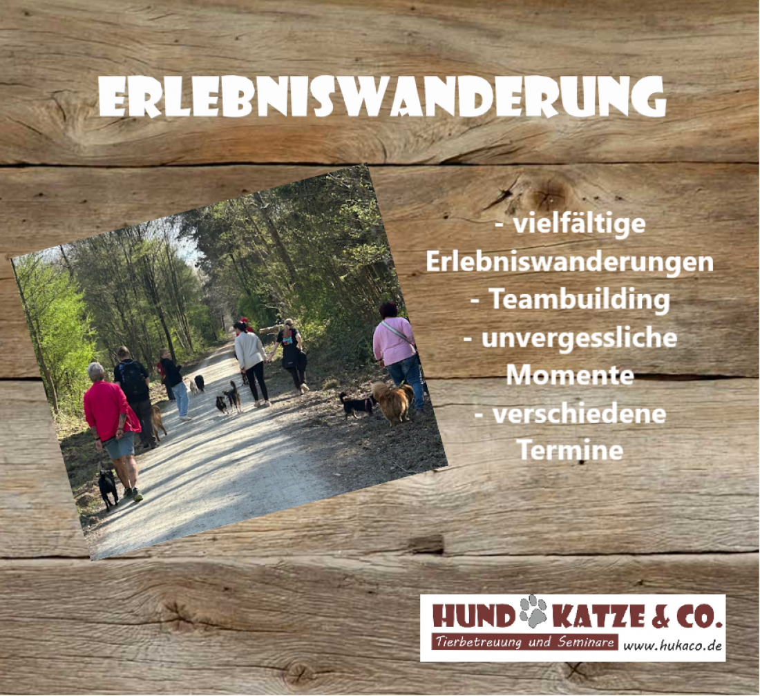 Höhlenwanderung in Ründeroth